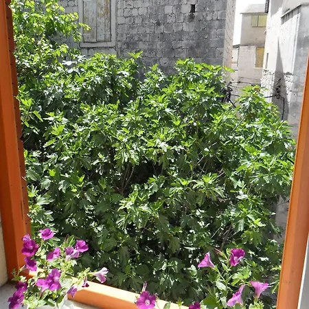 Ruzica Hotel